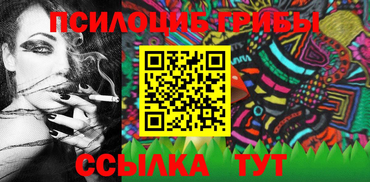Пыть-Ях  купить закладку  Псилоцибиновые грибы мицелий  Вход с VPN  Псилоцибиновые грибы GOLDEN TEACHER 